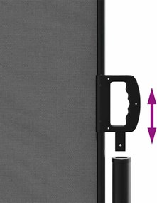 vidaXL Πτυσσόμενη Πλαϊνή Τέντα Ανθρακί 200x300 εκ.