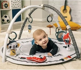Βρεφικό Γυμναστήριο Tiny Love Gymini Rock N' Roll BR79098