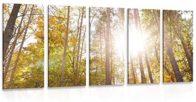 Δάσος με 5 μέρη σε φθινοπωρινά χρώματα - 100x50