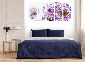 Εικόνα 5 μερών ενός ανθισμένου μωβ λουλουδιού σκόρδου - 200x100