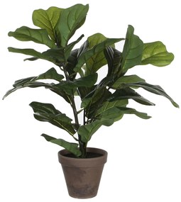 Τεχνητό Φυτό Σε Γλάστρα 35εκ. Edelman Ficus Lyrata 930693