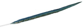 Φτερό Διακοσμητικό FTE221K6 55cm Green-Blue Espiel Χαρτί