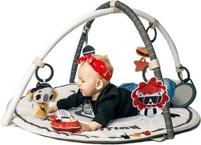 Βρεφικό Γυμναστήριο Tiny Love Gymini Rock N' Roll BR79098