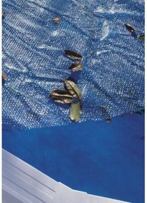 Καλύμματα πισίνας Gre   Μπλε 5 x 3 m