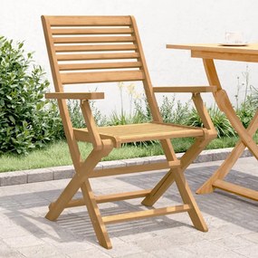 Καρέκλες Κήπου Πτυσσόμενες 4 τεμ 54,5x61,5x86,5 εκ Μασίφ Ακακία - Καφέ