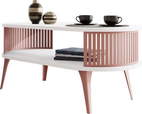 Τραπεζάκι σαλονιού Roenni Ember ΙΙ-Leuko - 100.00Χ50.00Χ44.00cm