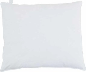 vidaXL Μαξιλάρι με μαξιλάρι 2 pcs Λευκό 60 x 70 cm Φτερό