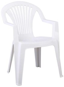ΚΑΡΕΚΛΑ ΠΛΑΣΤΙΚΗ Lido E327-8 58x57x81cm