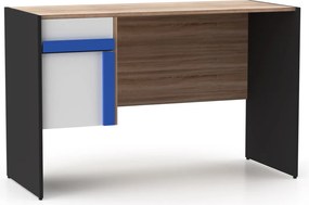 Γραφείο Alex 124x60x76εκ Γραφίτης-Λευκό-Σονόμα TO-ALEXDESK60