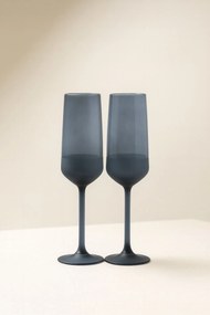 Champagne Glass Set (2 Pieces) TYRAKLE576 Fume