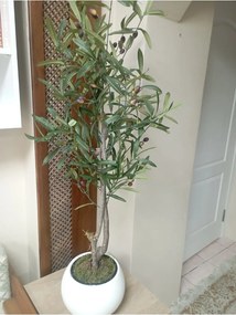 Stewehome Διακοσμητικό τεχνητό δέντρο ελιάς με φυσικό κορμό σε λευκή γλάστρα Λευκό