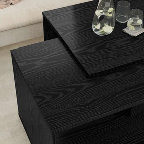 vidaXL Σετ Τραπεζιού Για Καφέ 2 pcs Μαύρη Οξυά Επεξεργασμένο ξύλο