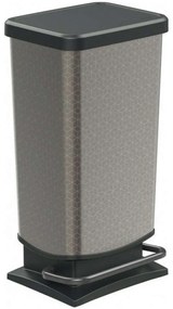 Κάδος Απορριμμάτων Paso 06911.001 Hexagon 40Lt Silver-Black Metal, Plastic