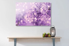 Εικόνα μωβ λιλά λουλούδι - 120x80