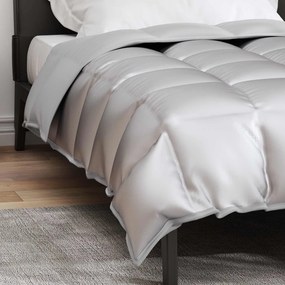 vidaXL Χειμερινό Παπλωματοθήκη 155 x 220 cm 450 gsm Ασημί