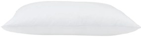 vidaXL Μαξιλάρια 2 pcs Λευκό 30 x 50 cm