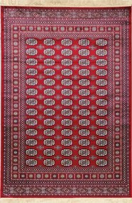 New Plan Sonia 248/301220 Round 160 x 160