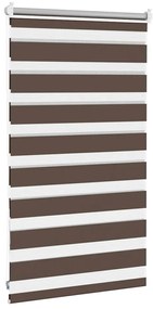 vidaXL Ρόλερ Zebra Καφέ 50 x 100cm