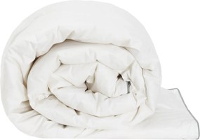 vidaXL Πάπλωμα FULDA 155 x 220 cm Καλοκαίρι 100 GSM 90% Χήνας Λευκό