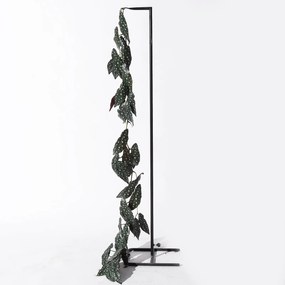 Supergreens Τεχνητή Γιρλάντα Μπιγκόνια Maculata 170 εκ. - 5261-7 - 5261-7