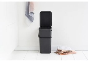 Brabantia Sort&Go κάδος χωριστής συλλογής 648978, 16 l, Χειρολαβή, Επιτοίχιος, Σκούρο γκρι