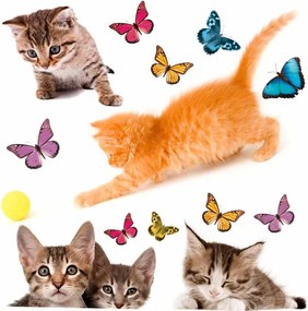 Αυτοκόλλητα Παραθύρου Διπλής Όψης Ango Cats 64001