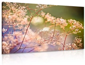 Εικόνα νεκρή φύση των λουλουδιών - 90x60