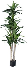 GloboStar® Artificial Garden DRACAENA SILK 20044 Τεχνητό Διακοσμητικό Φυτό Δράκαινα Υ170cm