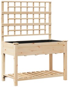 vidaXL Κήπος Γλάστρα με Πλέγμα & Ράφι 115x59x152 εκ Μασίφ Ξύλο Πεύκου