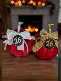 Κολοκύθα Κόκκινο βελούδινη μεγάλη - Ασημί