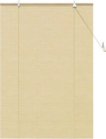 vidaXL Ρόλερ με κουρτίνες Φύση 100 x 160 cm Μπαμπού