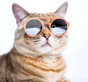 Intra Συλλεκτικό Ξύλινο Παζλ Plywood  4mm - Χαριτωμένη και αστεία γάτα που φοράει γυαλιά ηλίου Σε Ξύλινο Κουτί - Διαστάσεις: 10x10 cm – 25 κομμάτια