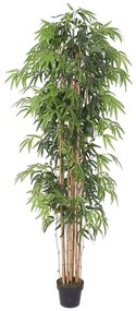 Τεχνητό Δέντρο Μπαμπού Lucky 1430-6 213cm Green Supergreens Ύφασμα,Bamboo