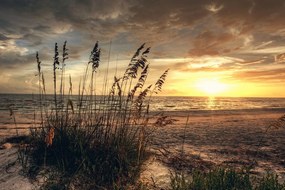 Εικόνα ηλιοβασίλεμα στην παραλία - 120x80