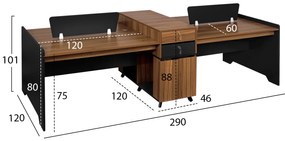 Σταθμός Εργασίας Επαγγελματικός 4 Ατόμων 290x120x101Υ εκ.