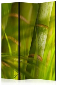 Διαχωριστικό με 3 τμήματα - bamboo - nature zen [Room Dividers]