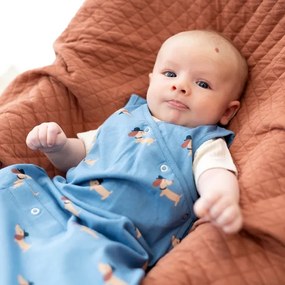 Bemini Magic Bag®0.5Tog Wouff Blue1-4M.