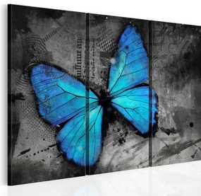 Πίνακας - The study of butterfly - triptych 90x60