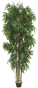 Τεχνητό Δέντρο Μπαμπού Zulu 2101-6 213cm Green-Beige Supergreens Πολυαιθυλένιο,Ύφασμα