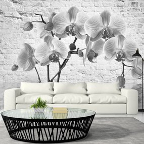 Φωτοταπετσαρία - Orchid in Shades of Gray 150x105