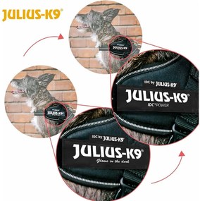 Λουρί Σκύλου Julius K9 IDC Μαύρο