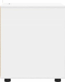 vidaXL Ντουλάπι αποθήκευσης Λευκό 40 x 48 x 57 εκ Επεξεργασμένο ξύλο