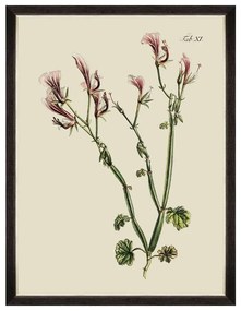 Κάδρο Botanical I FA13224 60x80cm Green MindTheGap Κάθετοι Wood