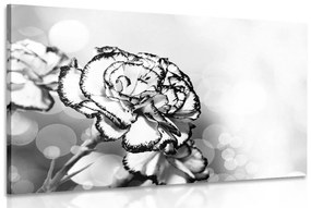 Εικόνα από όμορφα λουλούδια γαρύφαλλου σε μαύρο & άσπρο - 90x60