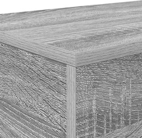 vidaXL Γκρι Σονομά 160 x 30 x 74 εκ