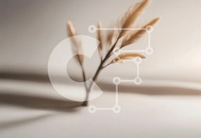 Intra Συλλεκτικό Ξύλινο Παζλ Plywood  4mm - Λεπτό κλαδί φυτού με φύλλα σαν πούπουλα Σε Ξύλινο Κουτί - Διαστάσεις: 10x10 cm – 25 κομμάτια