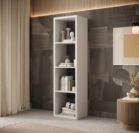 Βιβλιοθήκη Panau II-Leuko