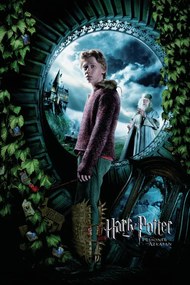 Εικονογράφηση Harry Potter and the Prisoner of Azkaban - Ron