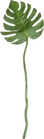 Foliage - Branch Asa 72cm Monstera deliciosa 4024433332879-000M