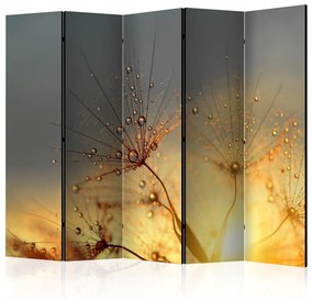 Διαχωριστικό με 5 τμήματα - Summer Solstice II [Room Dividers] 225x172